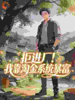 拒进厂！我靠淘金系统暴富