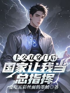 上交双穿门后，国家让我当总指挥