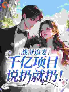 战爷追妻，千亿项目说扔就扔！