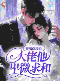 睁眼提离婚，大佬他卑微求和