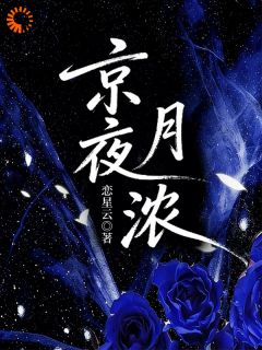 京夜月浓