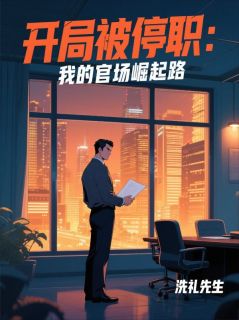 开局被停职：我的官场崛起路