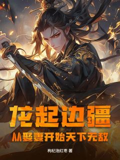 龙起边疆：从娶妻开始天下无敌！