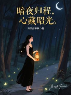 暗夜归程，心藏昭光