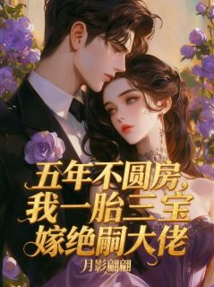 五年不圆房，我一胎三宝嫁绝嗣大佬