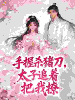 手握杀猪刀，太子追着把我撩