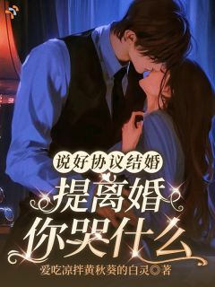 说好协议结婚，提离婚你哭什么