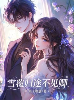 雪覆归途不见卿