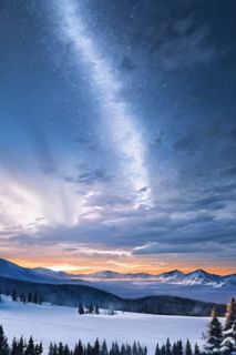 和死对头一起重生后，穷书生后悔了