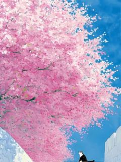 重回痴缠太子那年，我逃婚北上做女将星