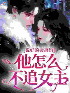 说好的会离婚，他怎么不追女主？