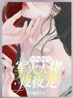 异国囚爱：军火大佬夜夜宠
