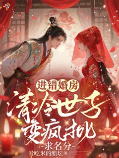 进错婚房，清冷世子变疯批求名分