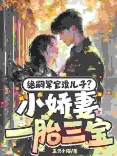 绝嗣长官没儿子？小娇妻一胎三宝