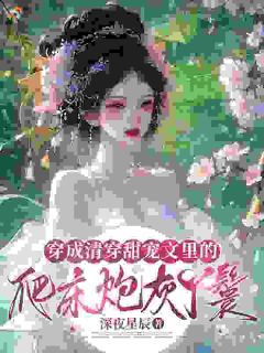 穿成四爷的丫鬟，可福晋她是重生的！