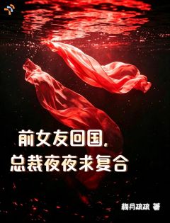 前女友回国，总裁夜夜求复合