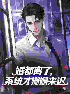 婚都离了，系统才姗姗来迟