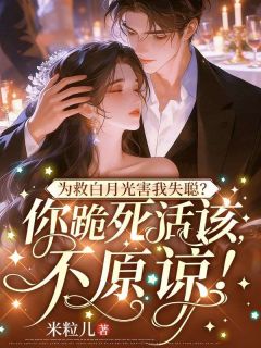 从此，京城再无我的聂太太