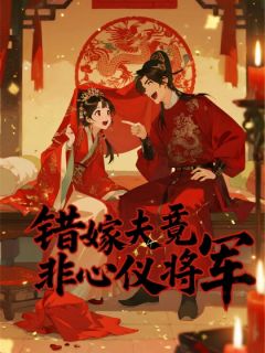 错嫁夫君竟非心仪将军