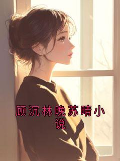 顾沉林晚苏晴小说