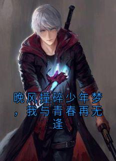 晚风撞碎少年梦，我与青春再无逢