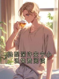 陆砚深许安宁小说免费阅读