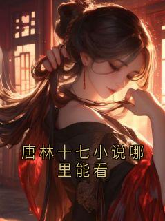 唐林十七小说哪里能看