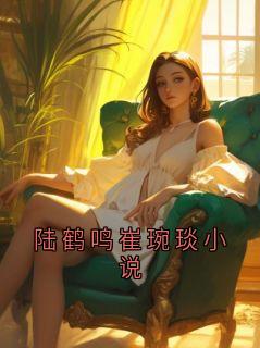 陆鹤鸣崔琬琰小说