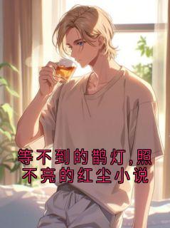 等不到的鹊灯,照不亮的红尘小说