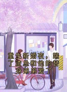 重生新婚夜，踹了渣总和他的替身弟弟爱了