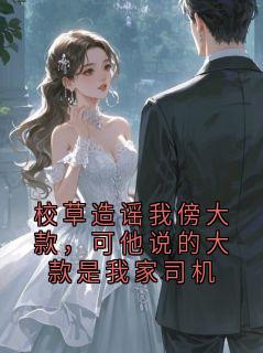校草造谣我傍大款，可他说的大款是我家司机