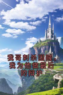 我哥刺杀国贼，我为他做最后的辩护