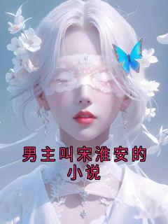 男主叫宋淮安的小说
