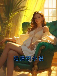 陆清研小说