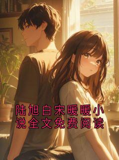 陆旭白宋暖暖小说全文免费阅读