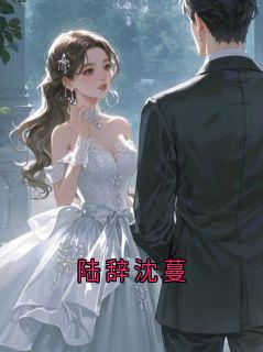 陆辞沈蔓