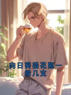 向日葵插花瓶一般几支