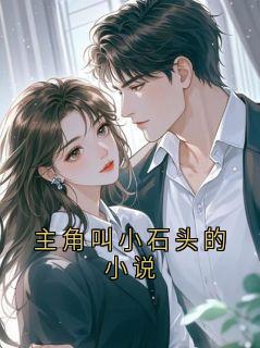 主角叫小石头的小说